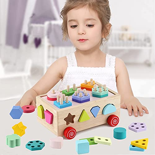 KMTJT Montessori Toys for 2 Year Old, Toddlers Wooden Shape Sorter