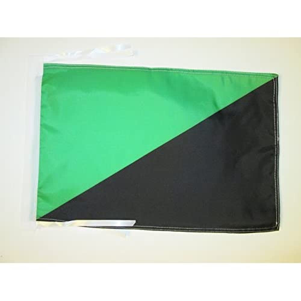 AZ FLAG - Anarcho-primitivism Flag - 18'' x 12'' - 100% Polyester Anarcho-primitivist Small Banner with Two Cords - Fade Resistant - Vivid Colors - 18x12 in - 45x30 Cm โ image 1