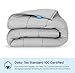 Luna Adults Weighted Blanket | 20 lbs - 60x80 - Queen Size Bed | 100% Oeko-Tex Certified Cooling Cotton & Premium Glass Beads | Designed in USA | Heavy Cool Weight for Hot & Cold Sleepers | Light Grey