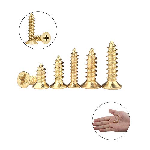 Gobesty Kleine Selbstschneidende Schrauben,1200 Stücke Edelstahl Blechschrauben M2 M2.5 6/8/10m Flachkopf… – Bild 5