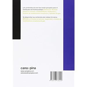 PUESTA EN SERVICIO INSPECCION Y REVISION DE INSTALACIONES DE GAS