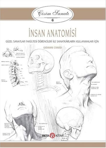 Cizim Sanati Serisi 6 Insan Anatomisi Guzel Sanatlar Fakultesi