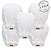 5-Pack Biodegradable Chinese Lanterns | Premium Eco Friendly White Paper Japanese Lanterns with Marker - Release in Funeral Memorial/Wedding/New Years/Festival Celebration (Large)