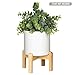 Mid Century Modern Plant Stand: The Northern Habitat Wood Table Top Planter with 4.5 Inch Round Pot - Indoor Matte White Ceramic Pot and Bamboo Pot Holder for Plants - Succulent Pots and Wooden Stands