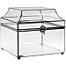 Glass Display Box Large Clear Case Wedding Card Decorative Keepsake Storage - J Devlin Box 600