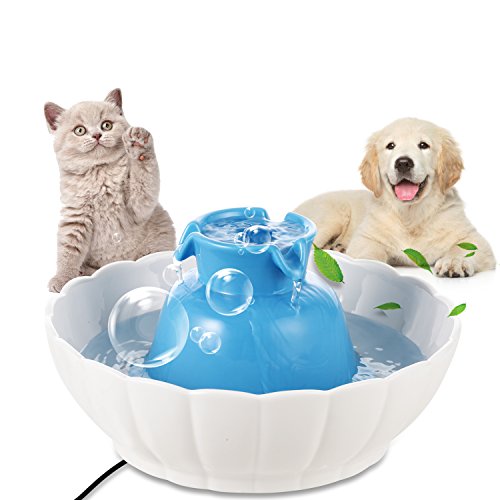Top 10 Cat Fountains Ceramic of 2019 No Place Called Home