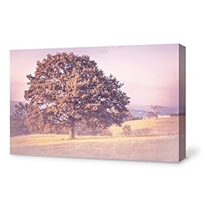 Canvas Wall Art Canvas Grassland Scenery Painting Wall Poster Decor for Living Room Framed Home Decorations - 12x18 inches