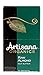 Artisana Organics Non GMO Raw Almond Butter, 20 Snack Pouches