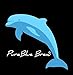 PureBlue Brew - Disposable Paper Coffee Filters for my refillable 4 Cup Serve K-Carafe Pod - Size Starter Pack Qty 30