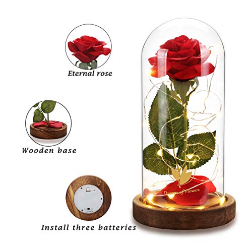 Dream of Flowers Beauty and The Beast Rose, Glass Dome brown Wood Base, Valentine's Party Gifts, Wedding Gifts, Best Gift for Her (N2)