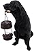 Black Labrador Dog with Lantern Garden Solar Light