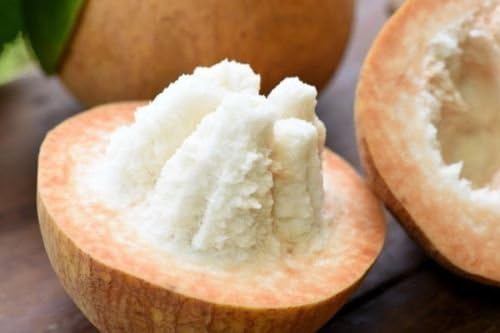 5 seed Yellow Santol Sentul Fruit Sandoricum koetjape mygarden 2018