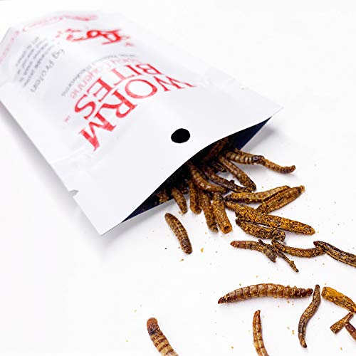 Worm Bites Gift 3Pack of Assorted Flavors (North American Roasted