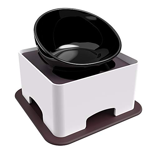 ceramic dog bowl set