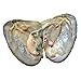 2018-Freshwater Cultured Love Wish Pearl Oyster with Round Pearl Inside 20 Colors (Random Color 20 PCS 7-8mm)