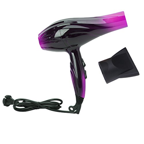 HPPT 2 Heat/Speed Professional Salon Tools Blow Dryer Heat Super Speed Blower Dry Hair Dryers (Purple)