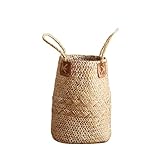 Samber Nordic Simplicity Hand-Woven Fruit Gardening