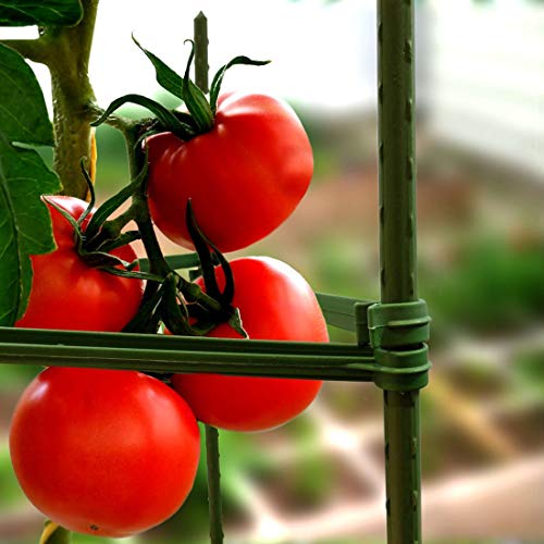 6 GROWNEER+Assembled+Vegetable+Vertical+Climbing