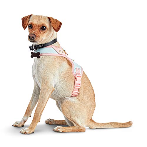 Bond And Co Bark Avenue Dog Harness X Small Desertcart Cyprus