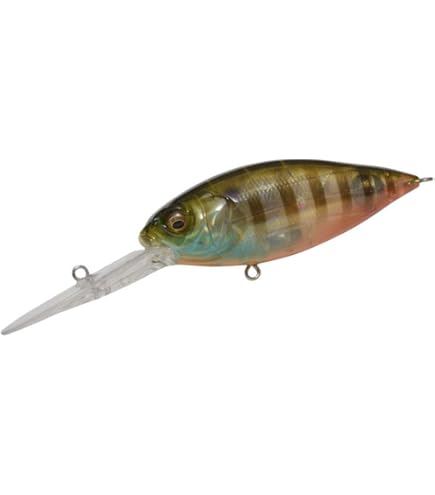 Amazon.com : Megabass DEEP-X 300 Blue Back Mat Chart Deep