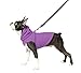 Gooby Fleece Vest Hoodie Dog Sweater - Purple, Large - Warm Pullover Dog Hoodie with O-Ring Leash for Small to Medium Dogs