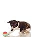 Dogs Toys, Dogloveit Rainbow EVA Foam Ball for Pet Dog Cat Training Playing Chewing Practice Toy, 3 Pcs