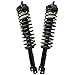 Prime Choice Auto Parts CST100135PR Rear Strut Assembly Pair