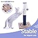 PAWZ Road Cat Scratching Post Cat Interactive Toys - Extra Post and Dangling Ball Included- 22 inches (Navy)