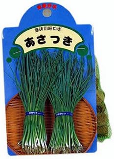 Amazon 国産 ネギ アサツキ 球根 葱 浅葱 あさつき 種球 約0g 8月29日 9月03日出荷分 果物
