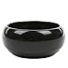 MyGift 8 Inch Glazed Black Ceramic Succulent Planter Pot - Decorative Flower Plant Bowl with Removable Saucer