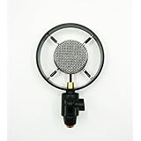 Antique Vintage Classic Cinema Theater Auditorium Speech Live Vocal 25mm Big Diaphragm Condenser Microphone