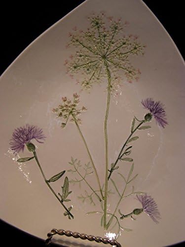 Michigan Flora pressed plant pottery, Queen Ann's Lace, purple nap flower, free form shallow bowl, functional, ornamental