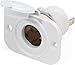 Blue Sea Systems 12V DC USB Dash Socket, White
