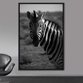 signwin Framed Canvas Wall Art Duotone Zebra Animals...