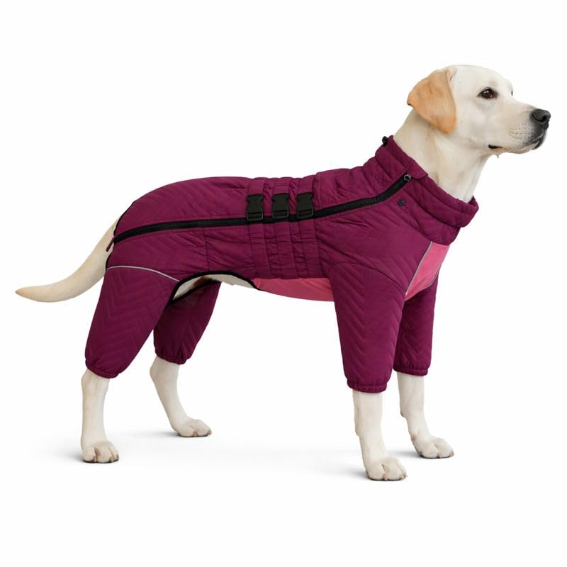 Photo 1 of Lovelonglong Warm Dog Coat Double Layers Dog Vest, 4 Legs Covered Windproof Waterproof Reflective Warm Dog Vest Outdoor Skating Dog Costume for Corgis Dachshund Dog Purple D-L