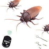 HaiHui Infrared Remote Control Realistic Mock Fake Cockroach RC Toy Prank Insects Joke Scary Trick Bugs for Party (roach)