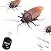 HaiHui Infrared Remote Control Realistic Mock Fake Cockroach RC Toy Prank Insects Joke Scary Trick Bugs for Party (roach)