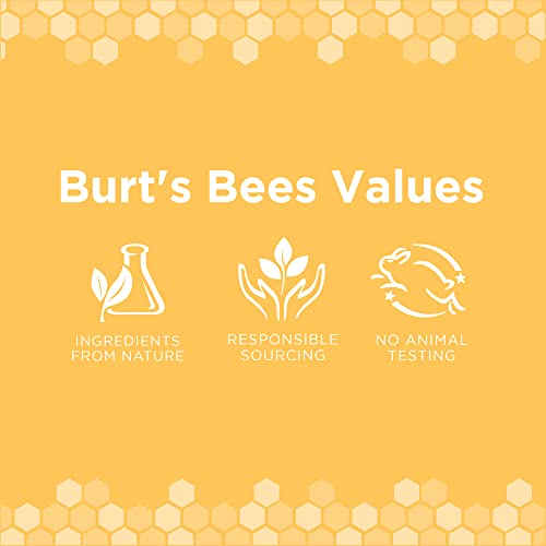 BURT’S BEES FOR PETS CALMING HEMP PAW & NOSE LOTION – BURT’S BEES DOG LOTION BURT’S BEES DOG PAW BALM WITH HEMP SEED OIL & LAVENDER MADE WITH NATURALLY DERIVED INGREDIENTS – PH BALANCED FOR DOGS, 4 OZ