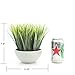 Velener Farmhouse Fake Grass Artificial Plants for Home Decor Indoor Tabletop Plant Book Shelf Small Desk Office