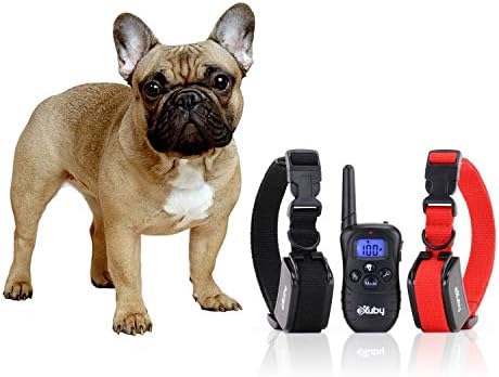 Shock collar for two dogs Clearance