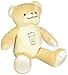 Healthy Baby Asthma and Allergy Buddy Bear Stuffed Animal, 9.5