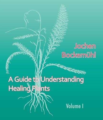 The Science Behind Aloe: The Healing Plant: EMBA Erik Aguayo