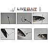 Live-Bait-Zip-Bridle-Needle-Hook-Harness-and-Zip-Tie-in-One Live-Bait-Zip-Bridle-Needle-Hook-Harness-and-Zip-Tie-in-One