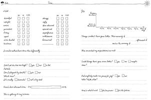 Ups And Downs A Daily Journal Otterman Doro 9781452154664