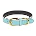 Aolove Basic Classic Padded Leather Pet Collars for Cats Puppy Small Medium Dogs (Blue, X-Small)