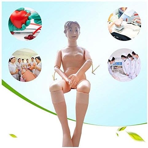OPNG 160cm Life Size Rubber Demonstration Manikin Anatomical Human Model for Nursing Medical Training Teaching & Education Supplies Female Band Spare Module