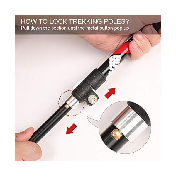 cleebourg trekking pole