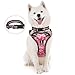 WINSEE Dog Harness No Pull, Pet Harnesses with Dog Collar, Adjustable Reflective Oxford Outdoor Vest, Front/Back Leash Clips for Small, Medium, Large, Extra Large Dogs, Easy Control Handle for Walking