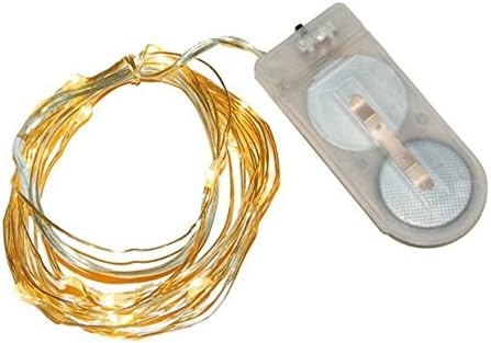 Home Order Collection 10 Ft Decorative String, 40 Count LED Indoor/Outdoor Lighted Micro Mini Fairy Lights Ornament Battery Operated Lights with Built in 4-Hour Timer (Gold Wire Warm White)