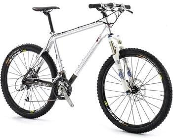 mountainbike focus raven
